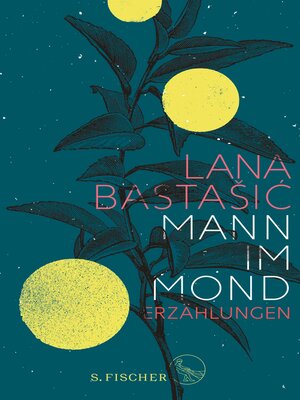 cover image of Mann im Mond